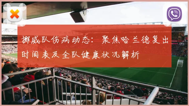 挪威队伤病动态：聚焦哈兰德复出时间表及全队健康状况解析